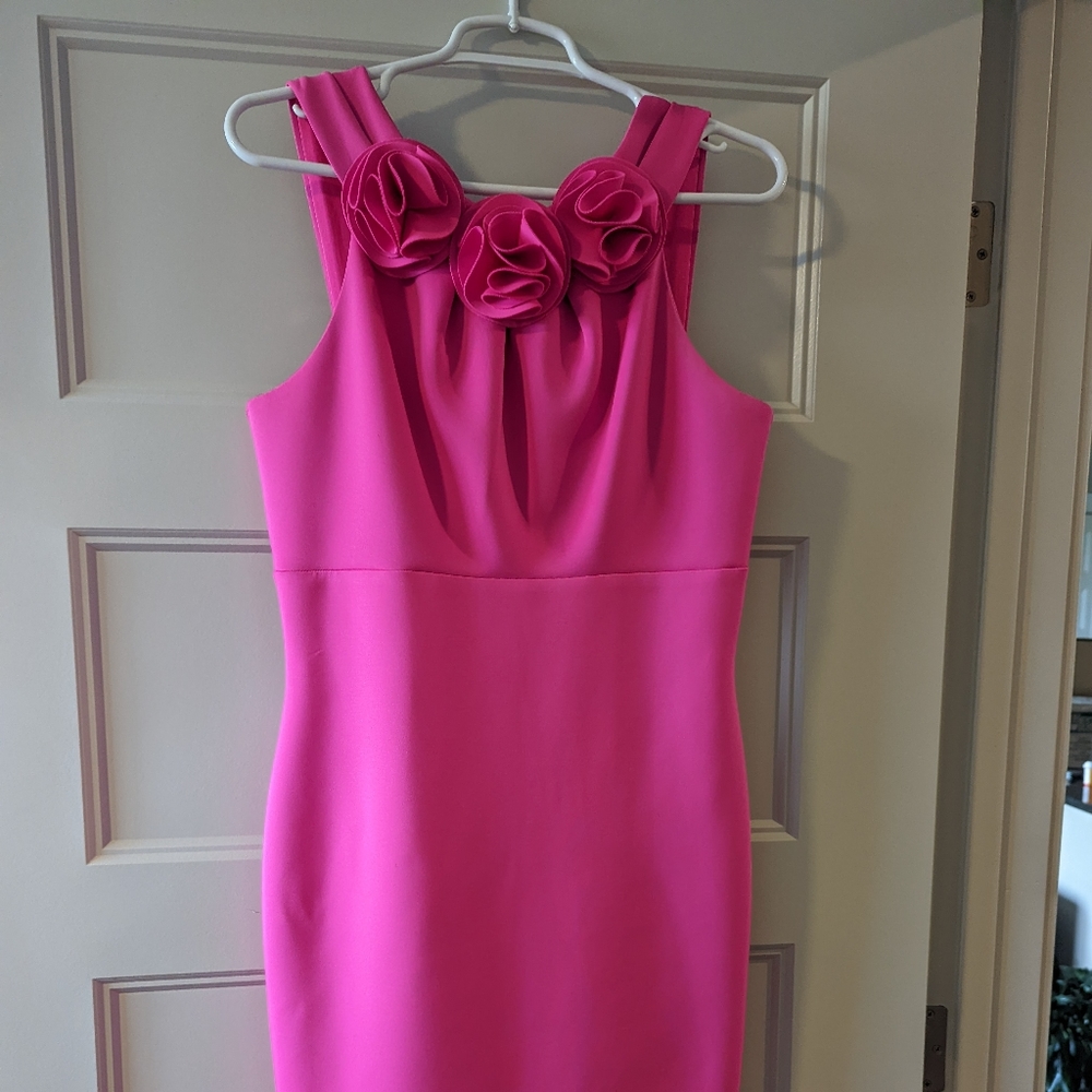 Jason Wu Dress